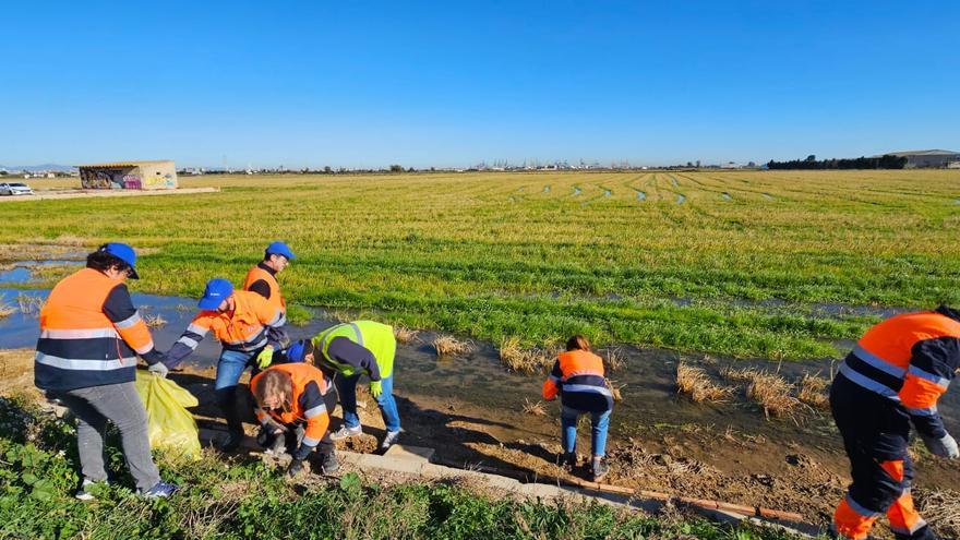 El voluntariado corporativo de Veolia en la Comunidad Valenciana implica a más de un centenar de participantes en sus acciones de 2025