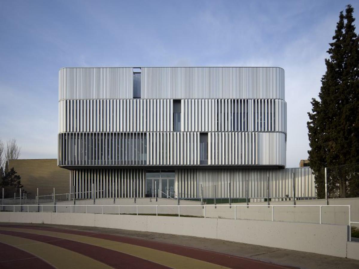 Instituto de Investigación Sanitaria (IIS) de Aragón.
