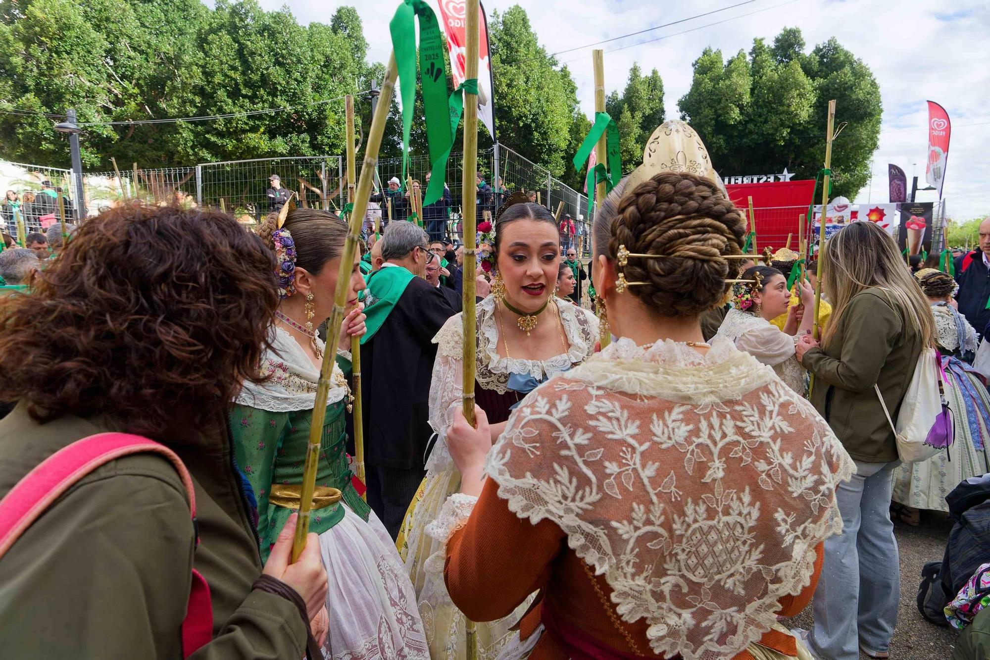 Las mejores imágenes de la Romeria a la Magdalena