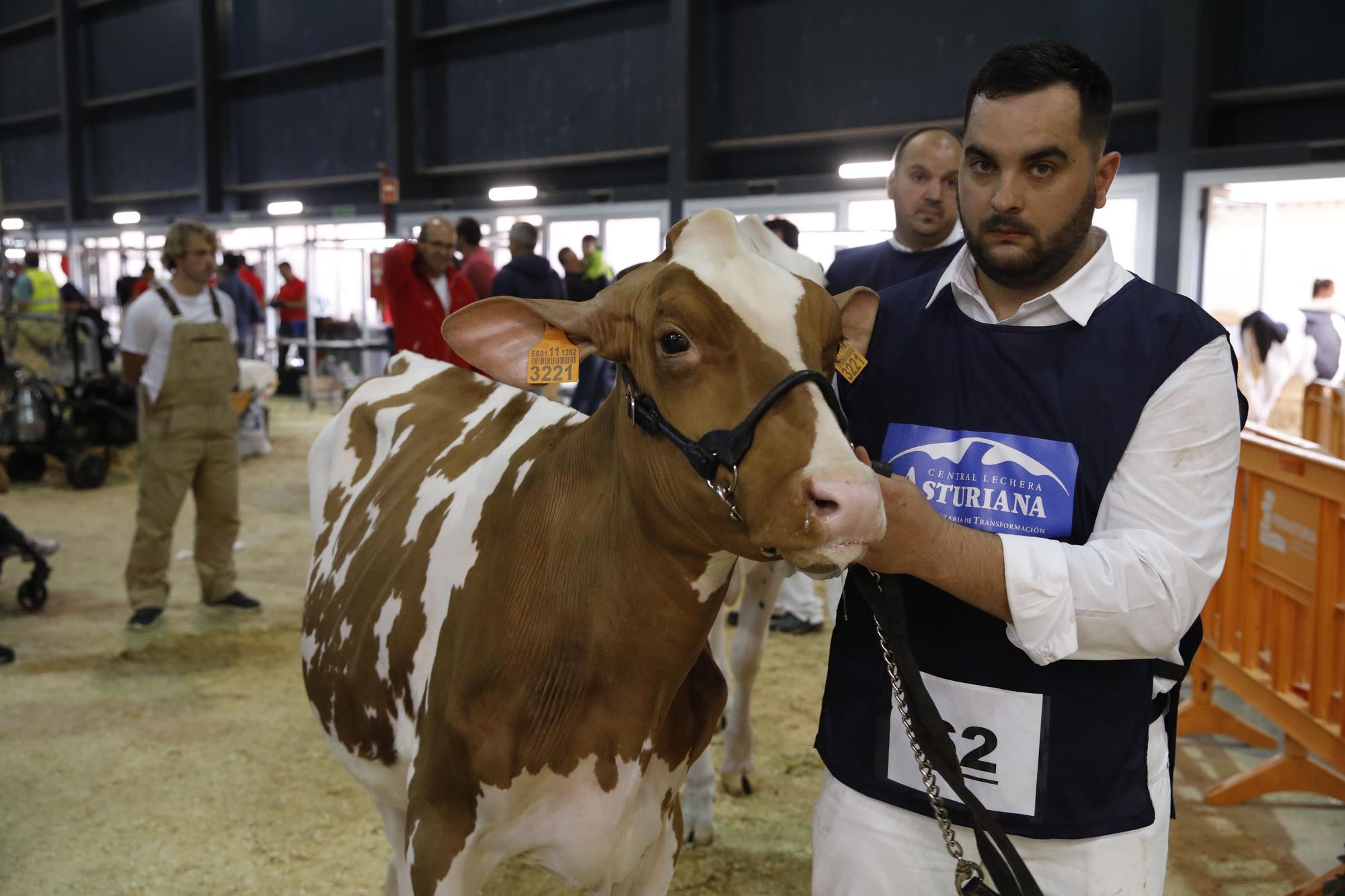 EN IMÁGENES: Gijón acoge una nueva edición de Agropec