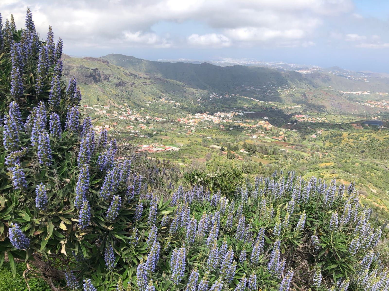 La primavera en Gran Canaria