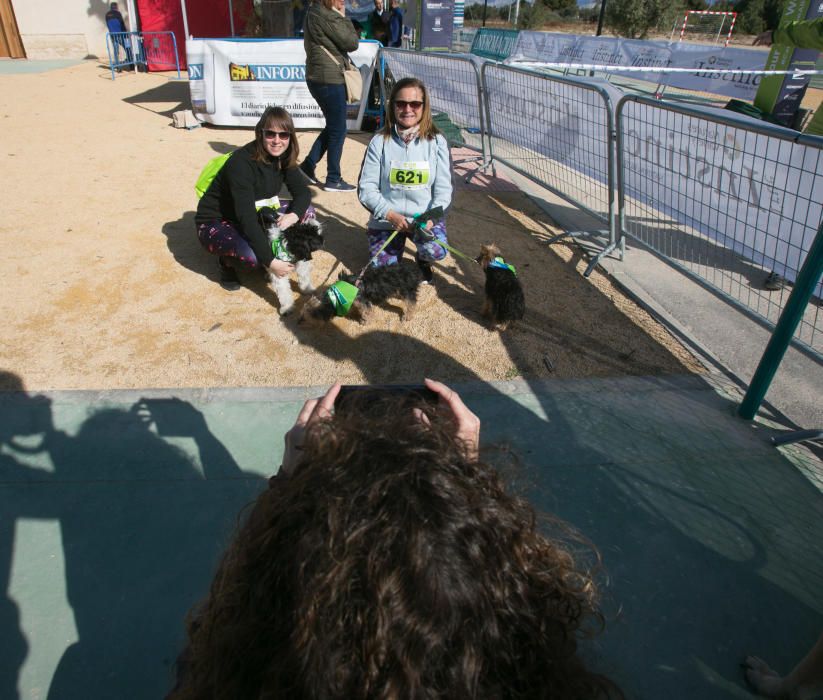 Can We Run: Gran carrera de perros para la concienciación animal