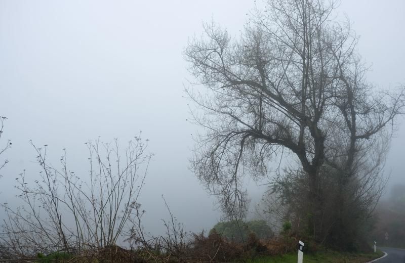 Fontanales, Moya.  Tiempo lluvia otoño  | 04/12/2019 | Fotógrafo: José Carlos Guerra