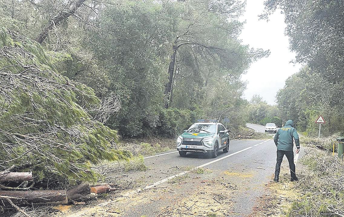 Guardias Civiles revisan una carretera cortada en Pollença.