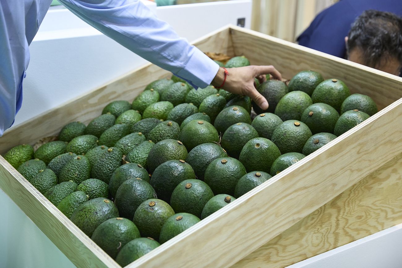 Canarias acude a la feria Fruit Attraction 2025 en Madrid