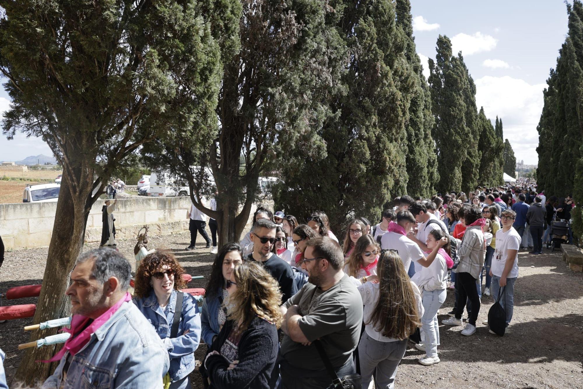 Lunes de Pascua | Los 'Pancaritats' en los pueblos de Mallorca, en imágenes