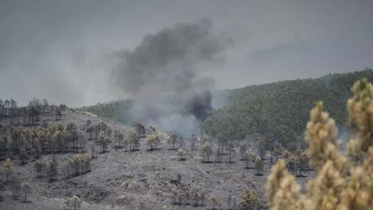 Evacuan a 100 menores de un campamento en Guadalajara por el incendio de La Mierla