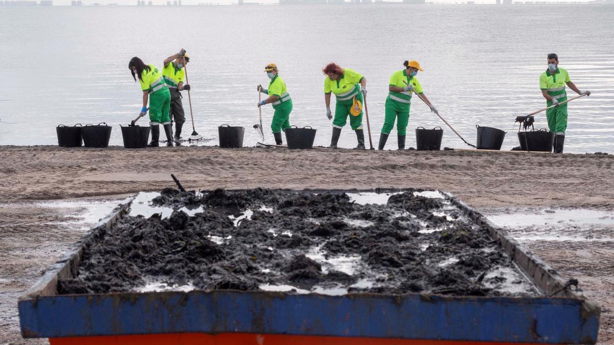 El Mar Menor, el valioso ecosistema que quiere su personalidad jurídica