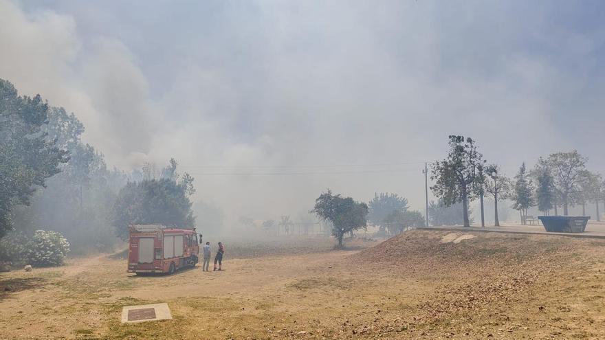 Un incendio en las inmediaciones del Parc Bit, ya estable, quema más de cuatro hectáreas de vegetación