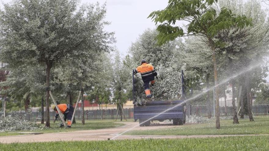 El concurso de limpieza de los parques del río se suspende por un recurso