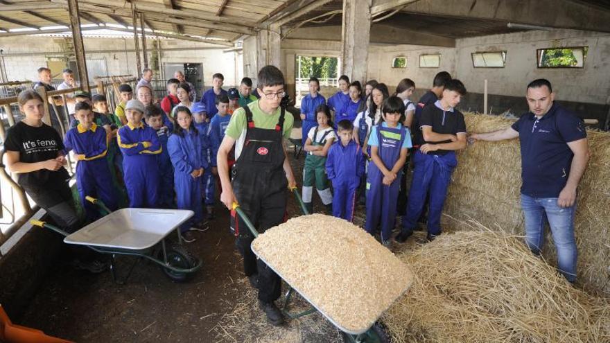 Fefriga baraja otra edición de la Escuela de Xóvenes Preparadores