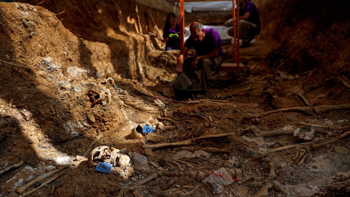 Exhumación de cuerpos de la Guerra Civil en la fosa común de El Carmen (Valladolid)