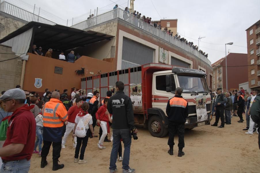 El desembarque de "Pitarroso" en Benavente