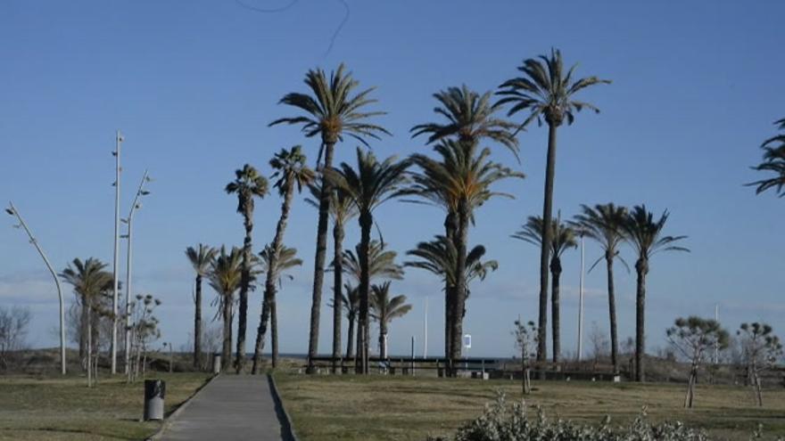 Vendaval en Castellón