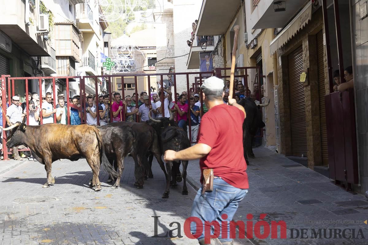 Cuarto encierro en las Fiestas de Moratalla