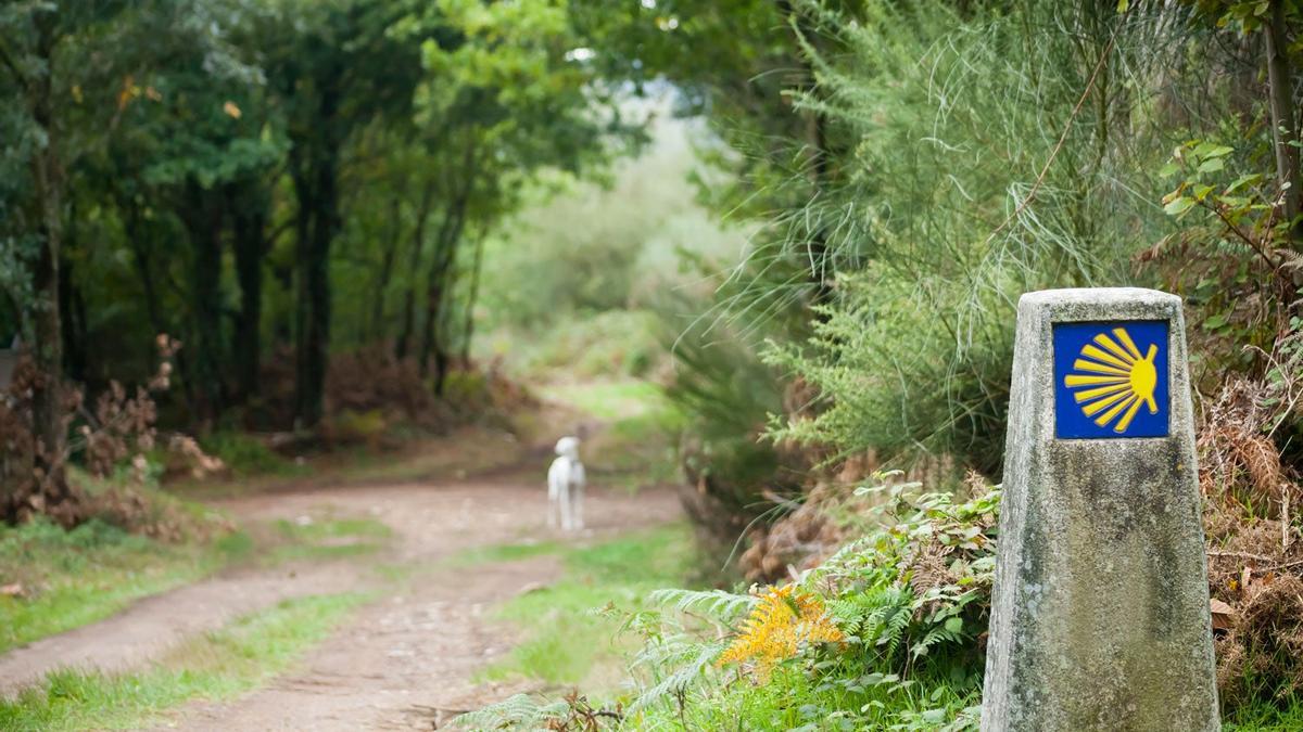 El Camino de Santiago