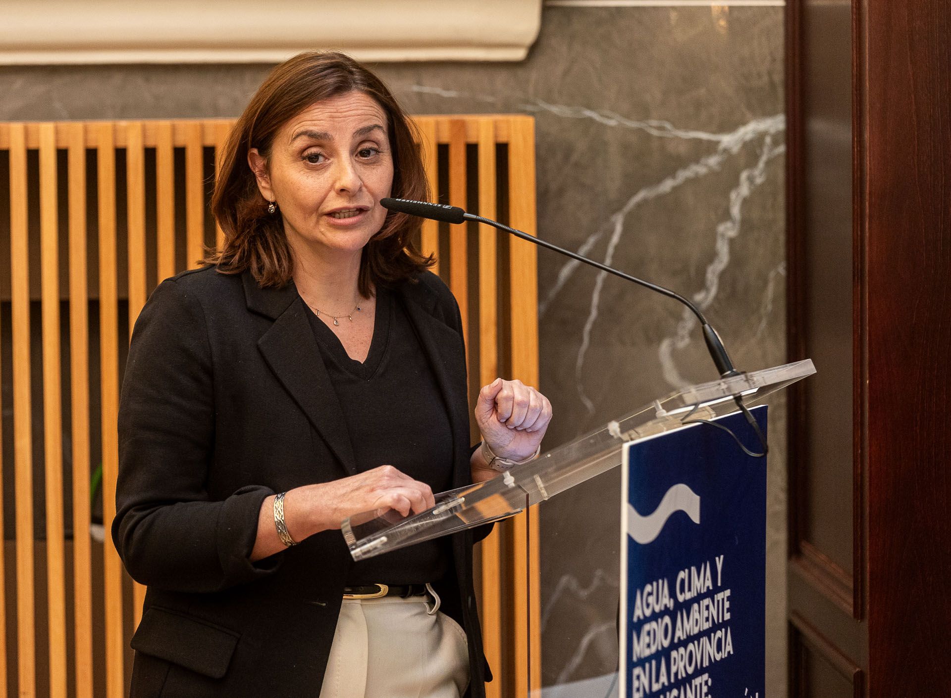 Jornada "Agua, clima y medio ambiente en la provincia de Alicante: Estado de situación y retos de futuro"