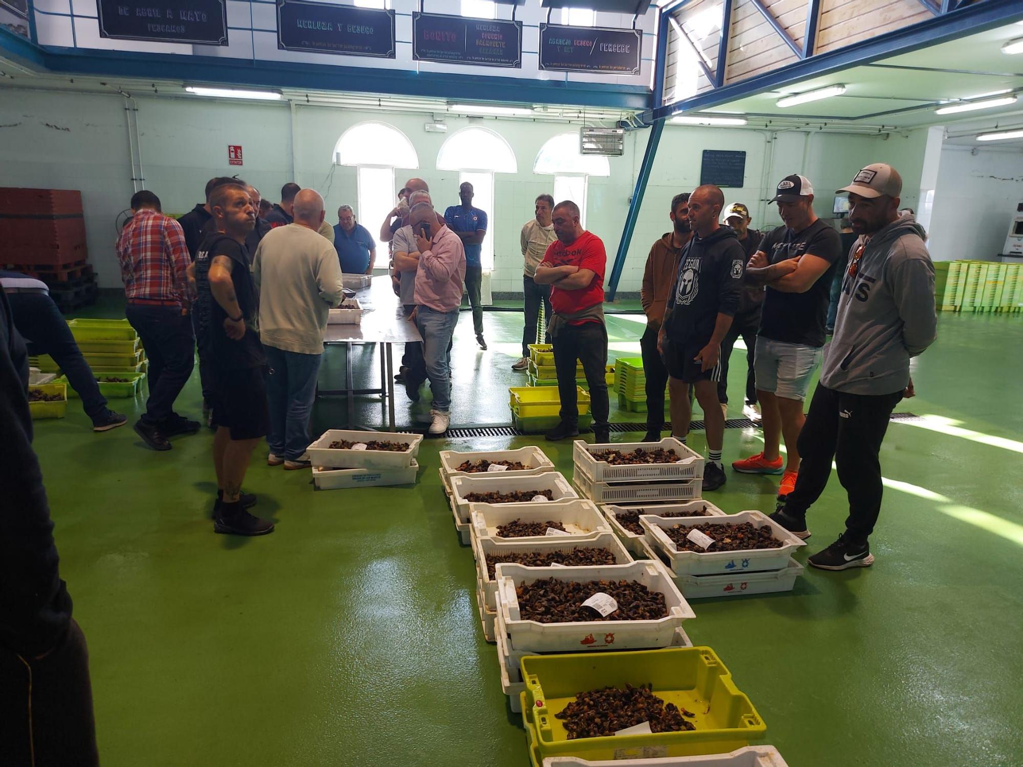 En imágenes: La primera subasta de percebe de la temporada en la rula de Puerto de Vega