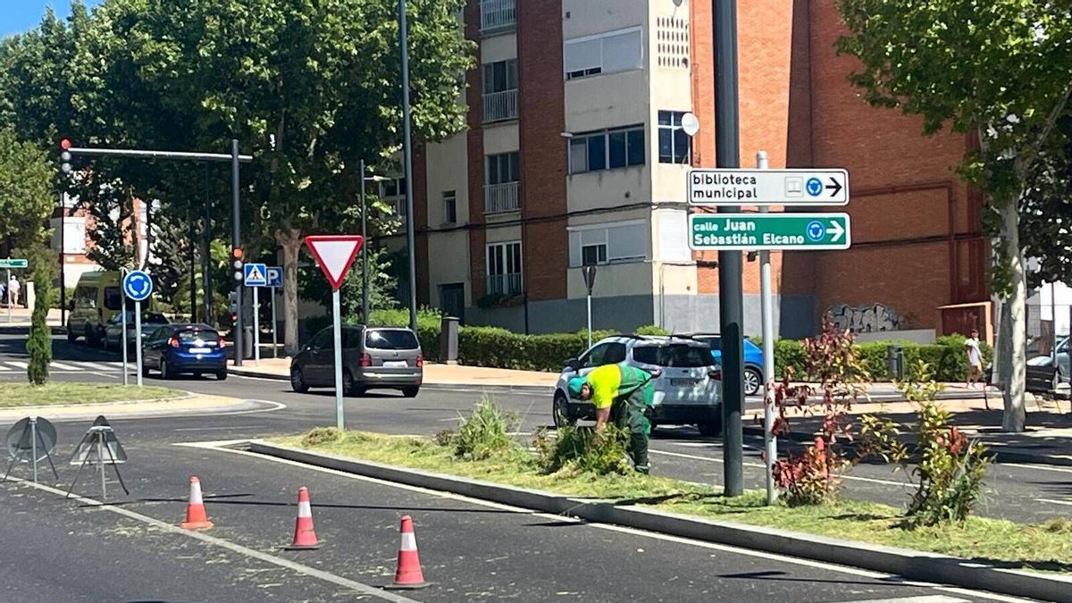 Zonas verdes en las travesías de Zamora.