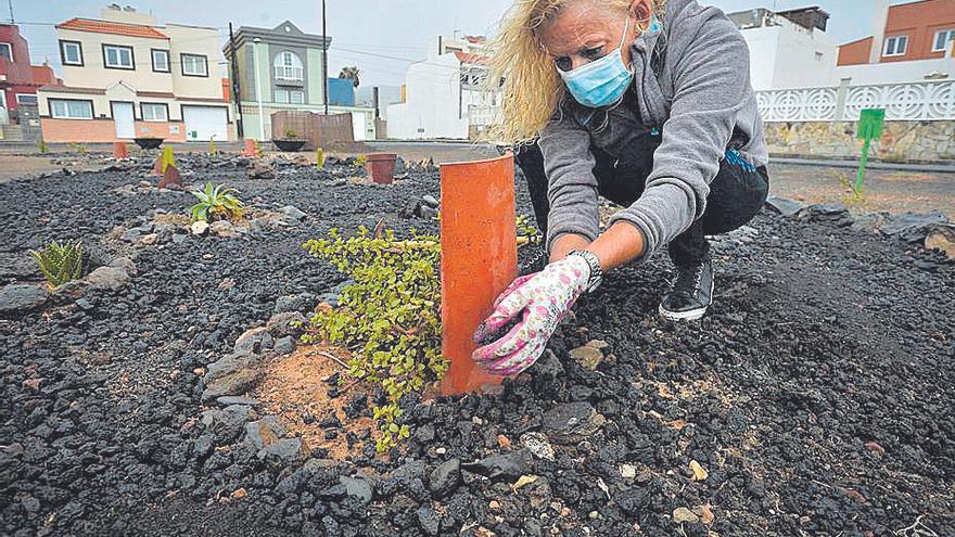 Julia, otra de las integrantes, coloca un corta vientos para evitar que las plantas se estropeen.