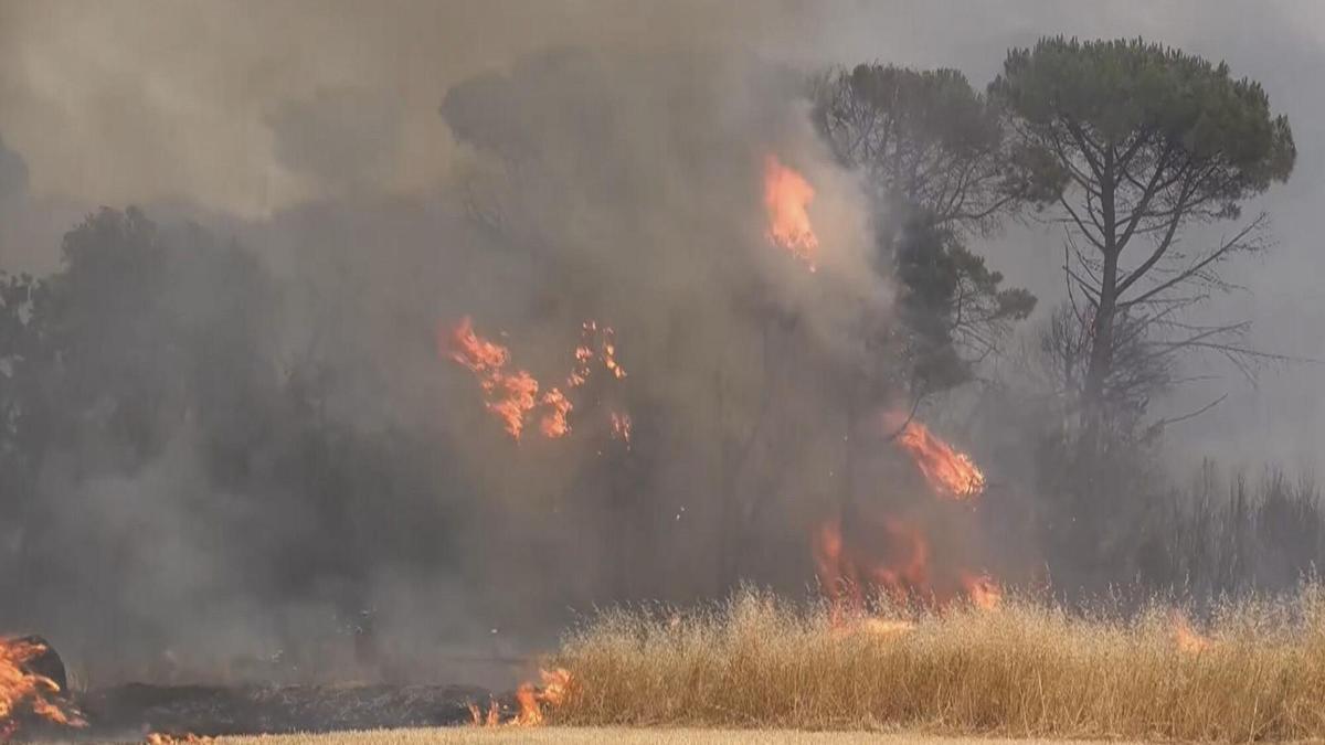 Incendi a les Gavarres.
