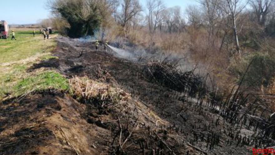 Un incendi a la ribera del riu Ter de Jafre crema 1.800 m2