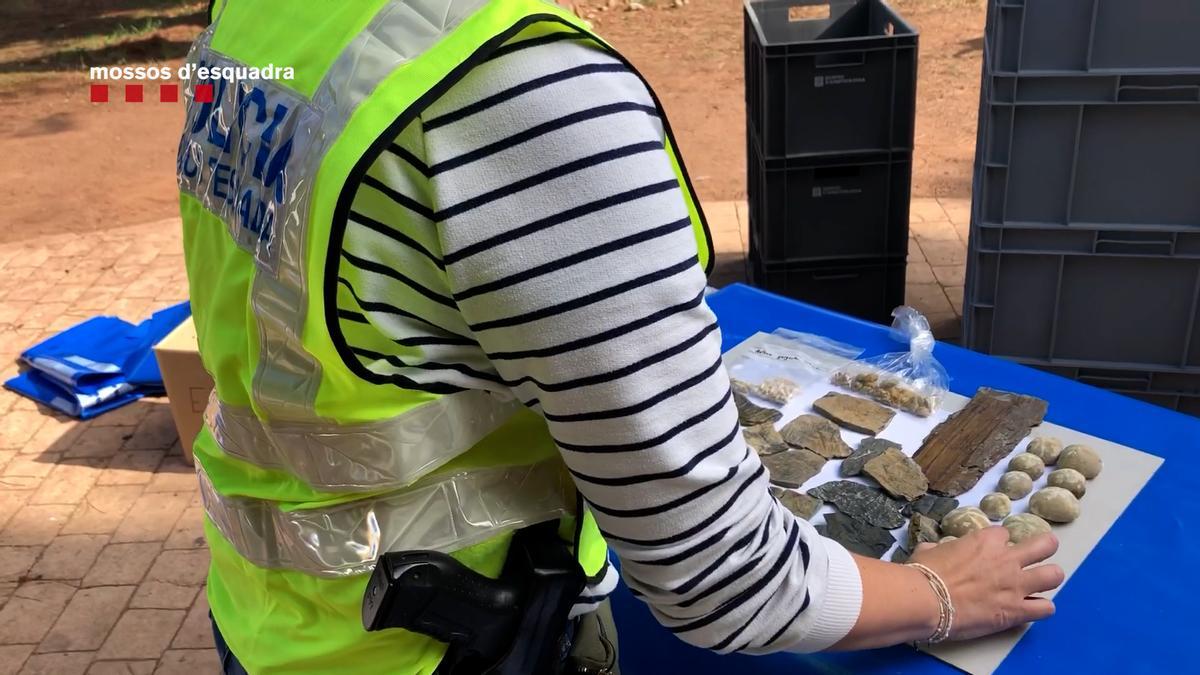 Agentes de la unidad de Patrimonio Histórico de Mossos en una actuación