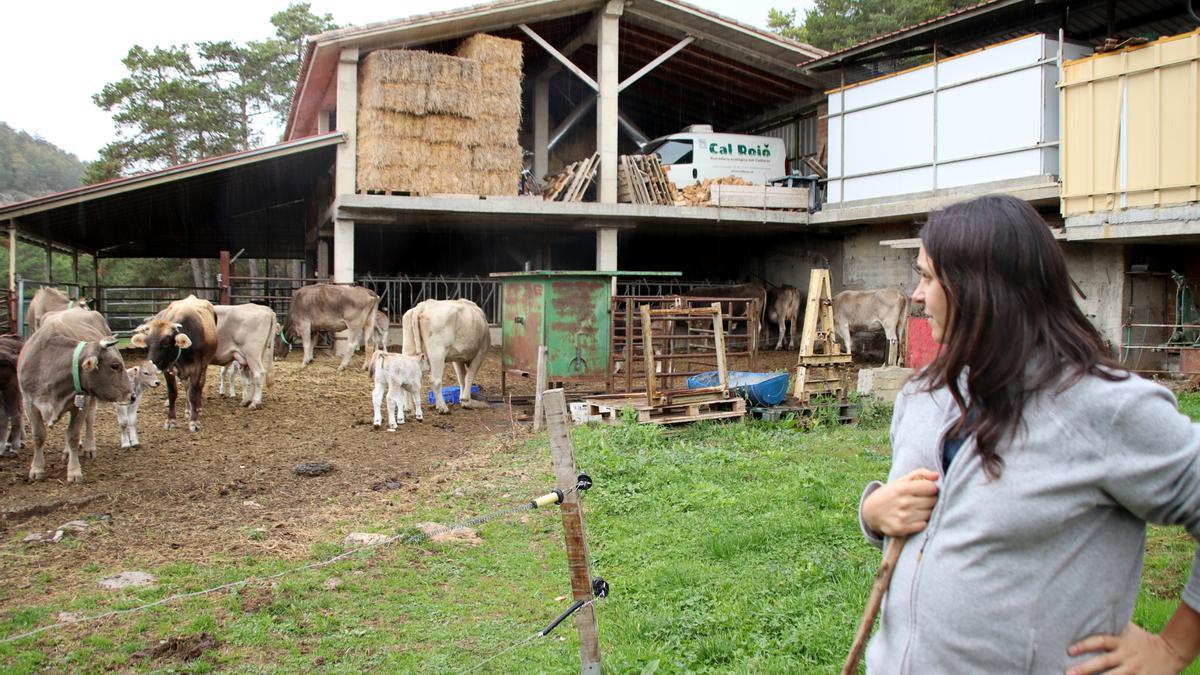 Martina Marcet, de Cal Roio, mirant les vaques que ha engegat a pasturar