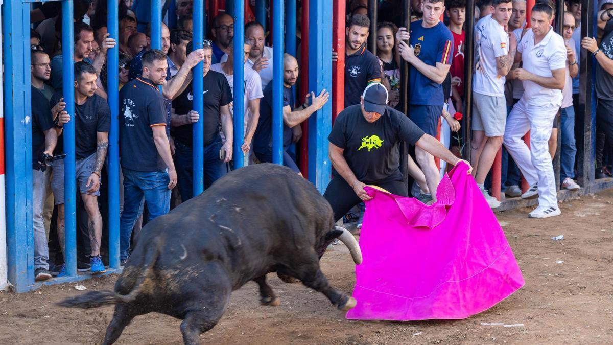 Los festejos taurinos tendrán un lugar central en las fiestas.