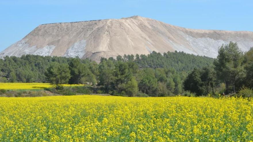 Zona del  Cogulló.