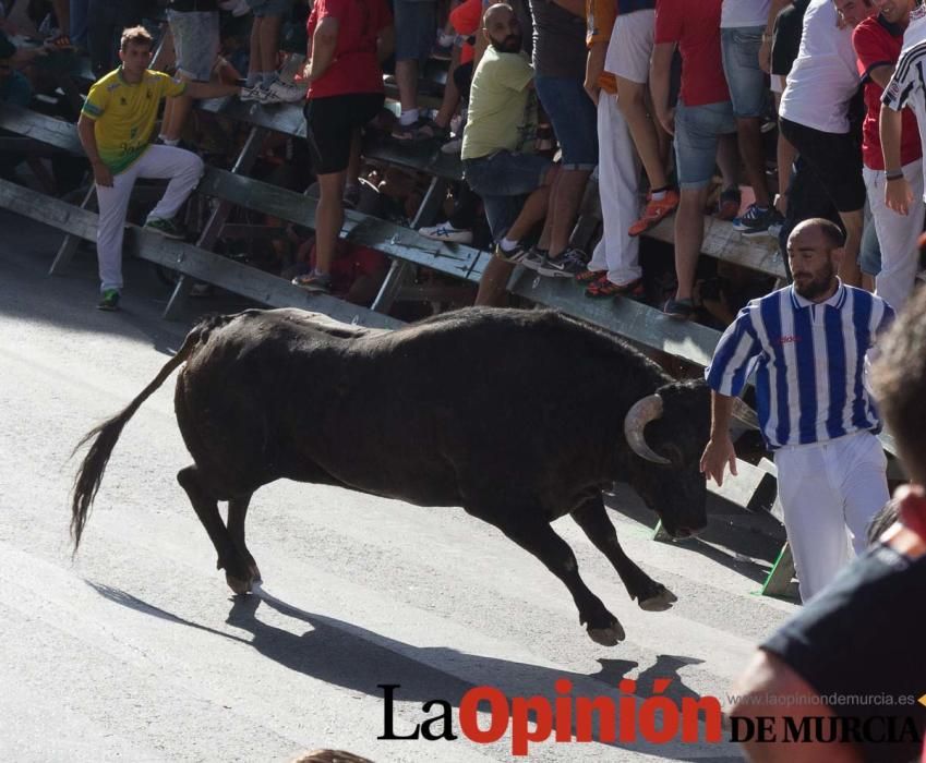 Primer encierro de Calasparra