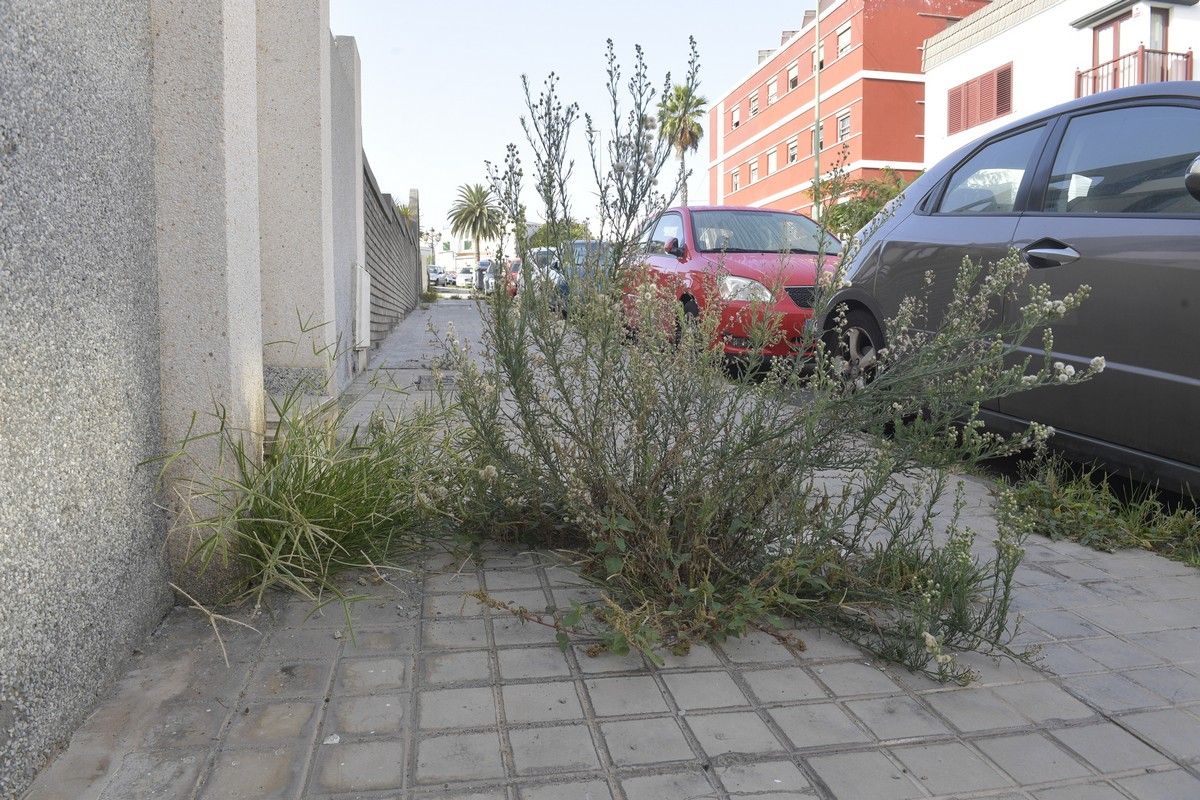 Hierbas en aceras de las calles de Escaleritas