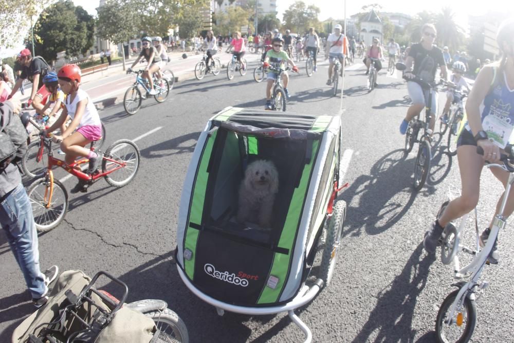 XX Día de la Bicicleta en Valencia