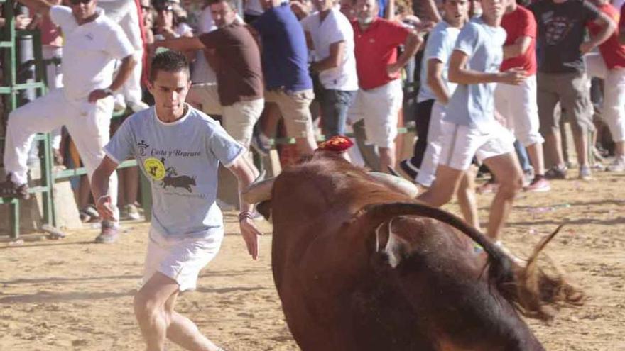 Toro de la juventud del 2011.