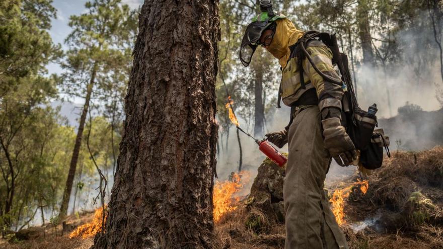 Los bomberos del monte contra el fuego