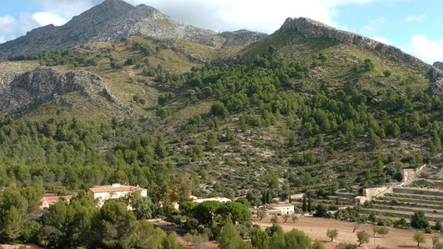 Calvià will Landgut Galatzó groß herausbringen