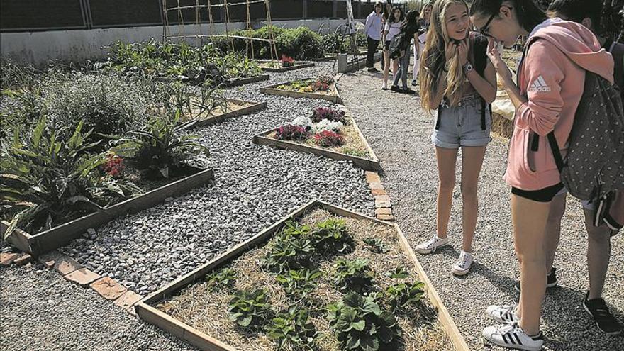 Un huerto interdisciplinar en el IES Matilde Salvador