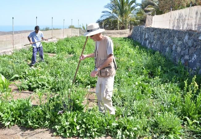 FINCA EL VISO