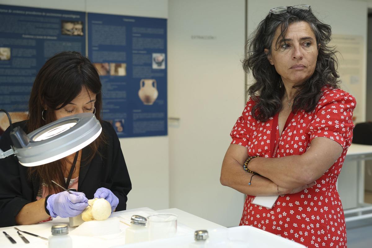 La subdirectora del Museo Arqueológico Nacional, Cristina Villar.