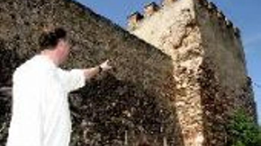 Colectivos pacenses estiman urgente que &quot;se limpie y ajardine&quot; la alcazaba