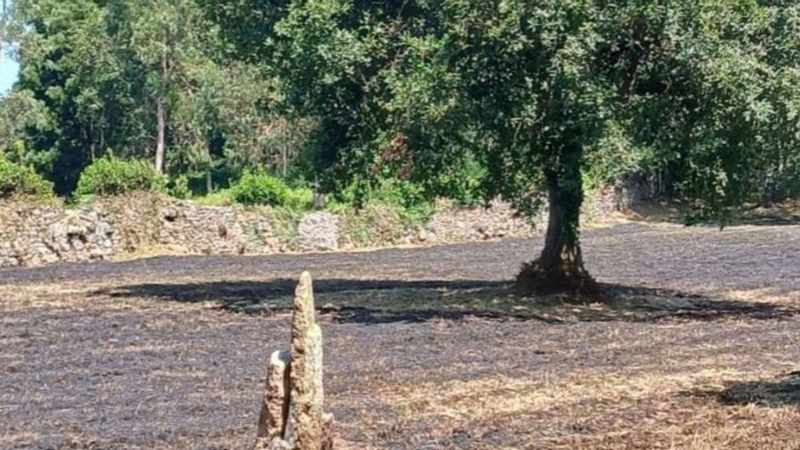 Imagen de la parcela que ardió. | FdV