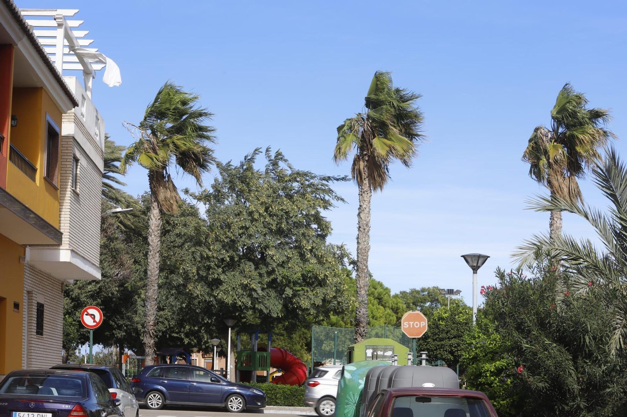 El viento sopla fuerte en Almussafes