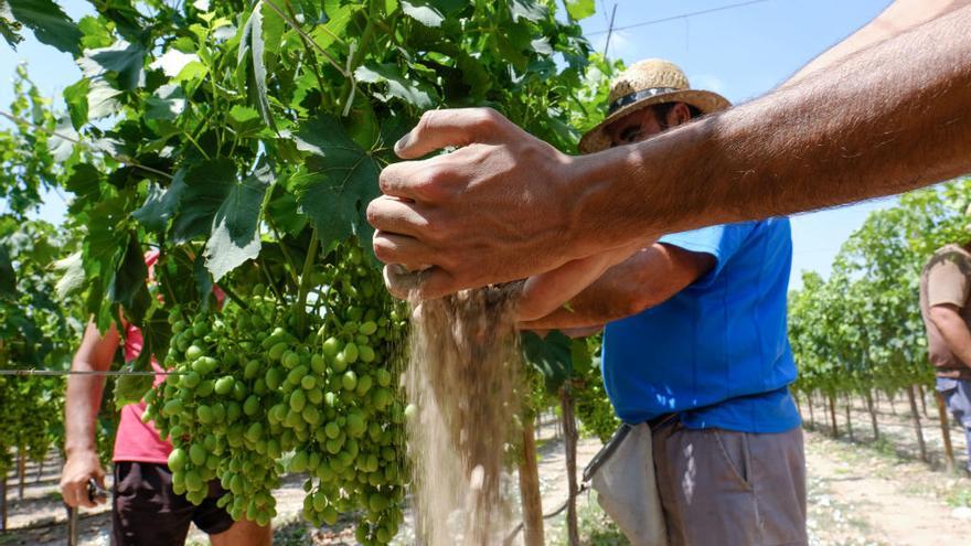 El Tajo-Segura propone un trasvase de 20 hectómetros cúbicos para agosto