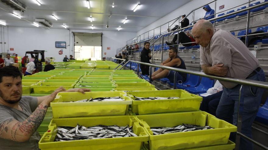 La subasta de pescado cayó un 17,47% en 2023 en la Lonja de Gijón al entrar menos bocarte