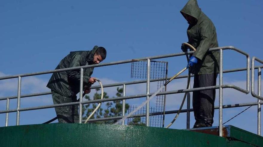 Operarios limpian el depósito de agua en Cesuras tras detectar contaminación en 2014.