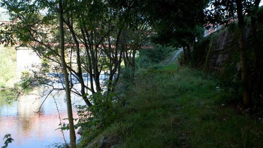 Margen del río Nalón a la altura de la calle La Llera, en Sama.