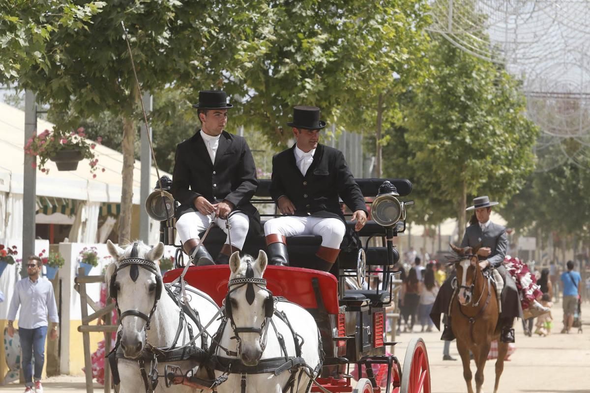 Fotogalería / Paseo de caballos en la Feria de Córdoba