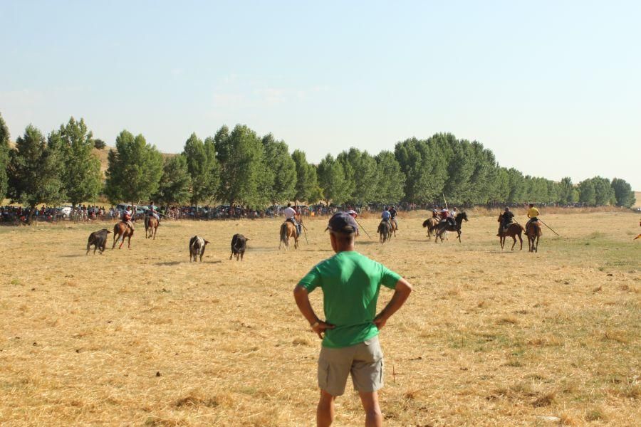 Fiestas en Zamora: Encierro y toros en Villamor