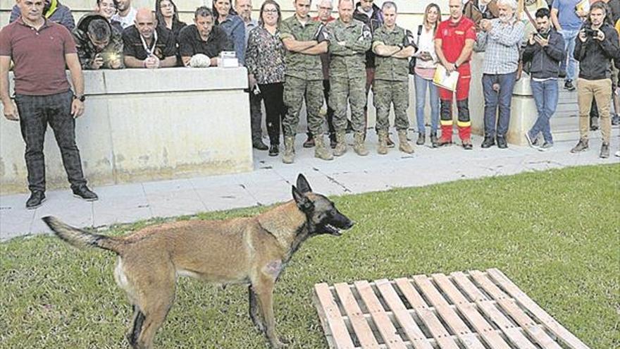 Los mejores guías caninos expertos en emergencias se dan cita en la UJI