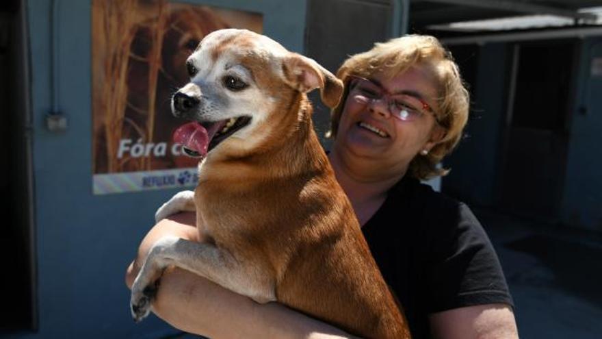 Maltrato animal en Pontevedra | La nueva vida de Prince